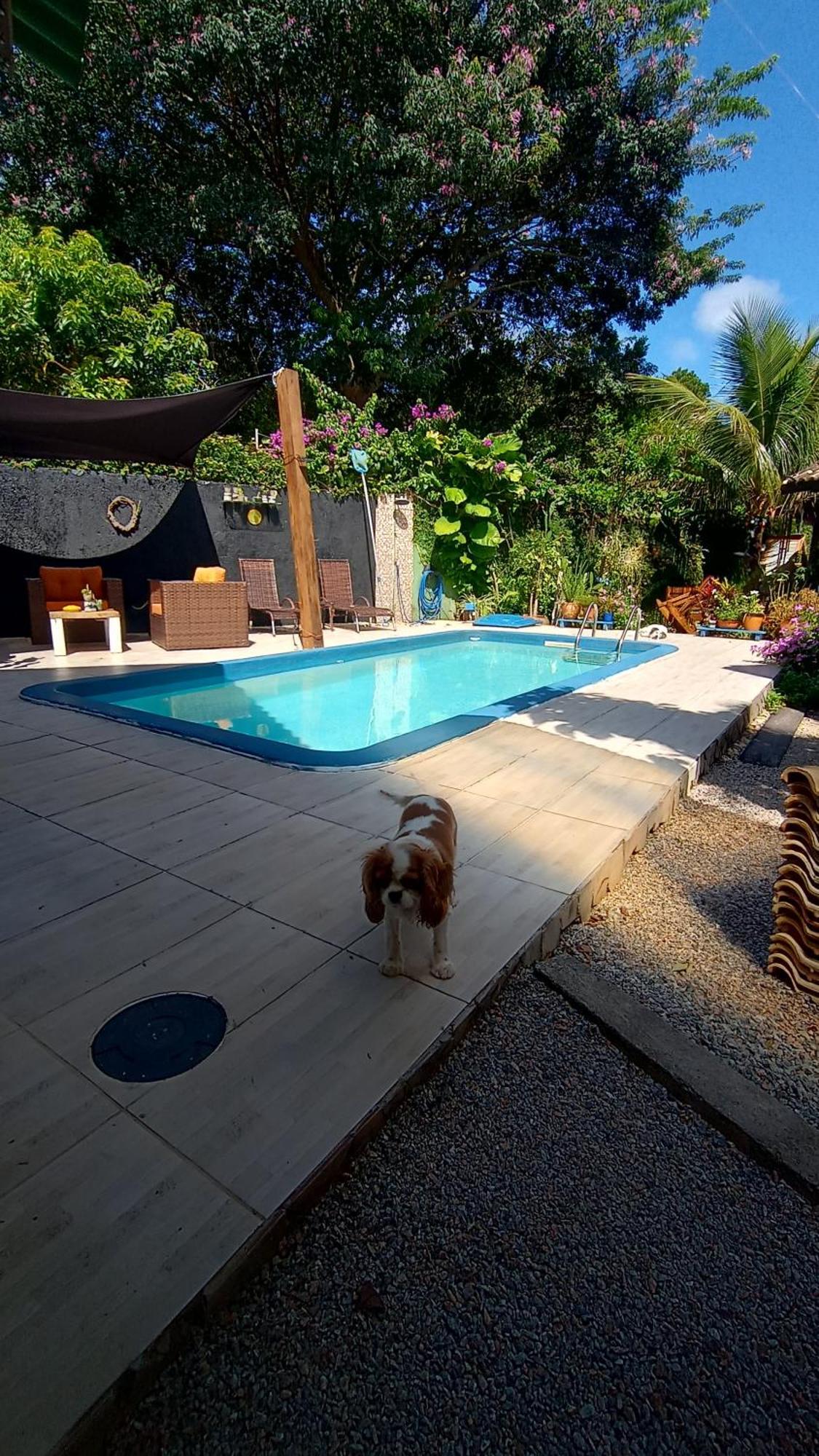 Pousada Zaua Guest House Florianópolis Exteriör bild